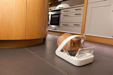 rfid chip pet feeder|surefeed microchip pet feeder sale.